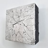 Image 2 of Reticulated Circle XXV