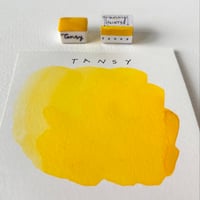 Tansy watercolour