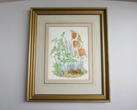 Image 2 of Vintage Botanical Watercolour Painted Print, Sheila Mannes-Abbott 1979, Framed Size 15 x 12 ins 