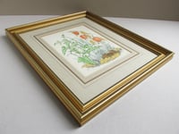 Image 3 of Vintage Botanical Watercolour Painted Print, Sheila Mannes-Abbott 1979, Framed Size 15 x 12 ins 