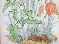 Image 5 of Vintage Botanical Watercolour Painted Print, Sheila Mannes-Abbott 1979, Framed Size 15 x 12 ins 