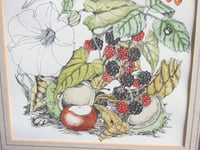 Image 5 of Vintage Botanical Watercolour Painted Print, Sheila Mannes-Abbott 1979, Frame Size 15 x 12 5/8 ins 