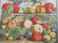 Image 2 of 12 Months of Fruit September 1732 Furber & Casteels, Vintage Art Print, Framed 15 3/10 x 12 8/10 ins