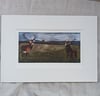 Irish Red Stags