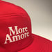 Image of MORE AMORE 5 PANEL