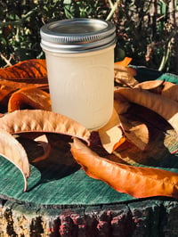 Image 1 of Jamaican Chondrus crispus/Irish moss/ Seamoss (8oz)
