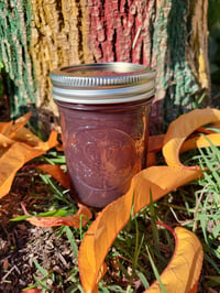 Image 1 of Elderberry seamoss (8oz)