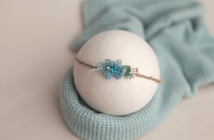 Image of Aqua Tieback