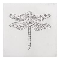 Image 1 of Dragonfly