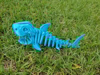Image 4 of Skeleton Shark