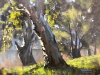 Image 1 of Red Gums On The Macquarie