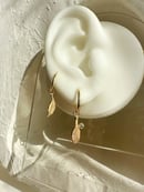 Image 2 of Feather Charm on Sleeper Hoop