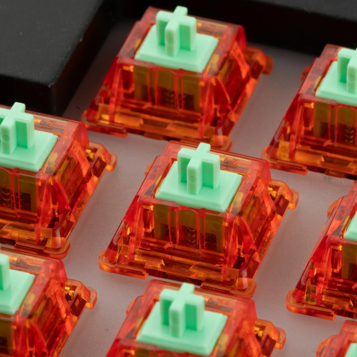 Tangerine 2024 switches