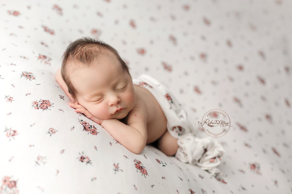 Image of Weekday Newborn Session