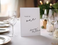 Selyna Table Numbers