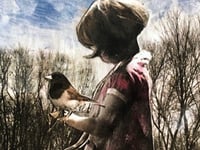 Image 2 of Little bird  quality art print