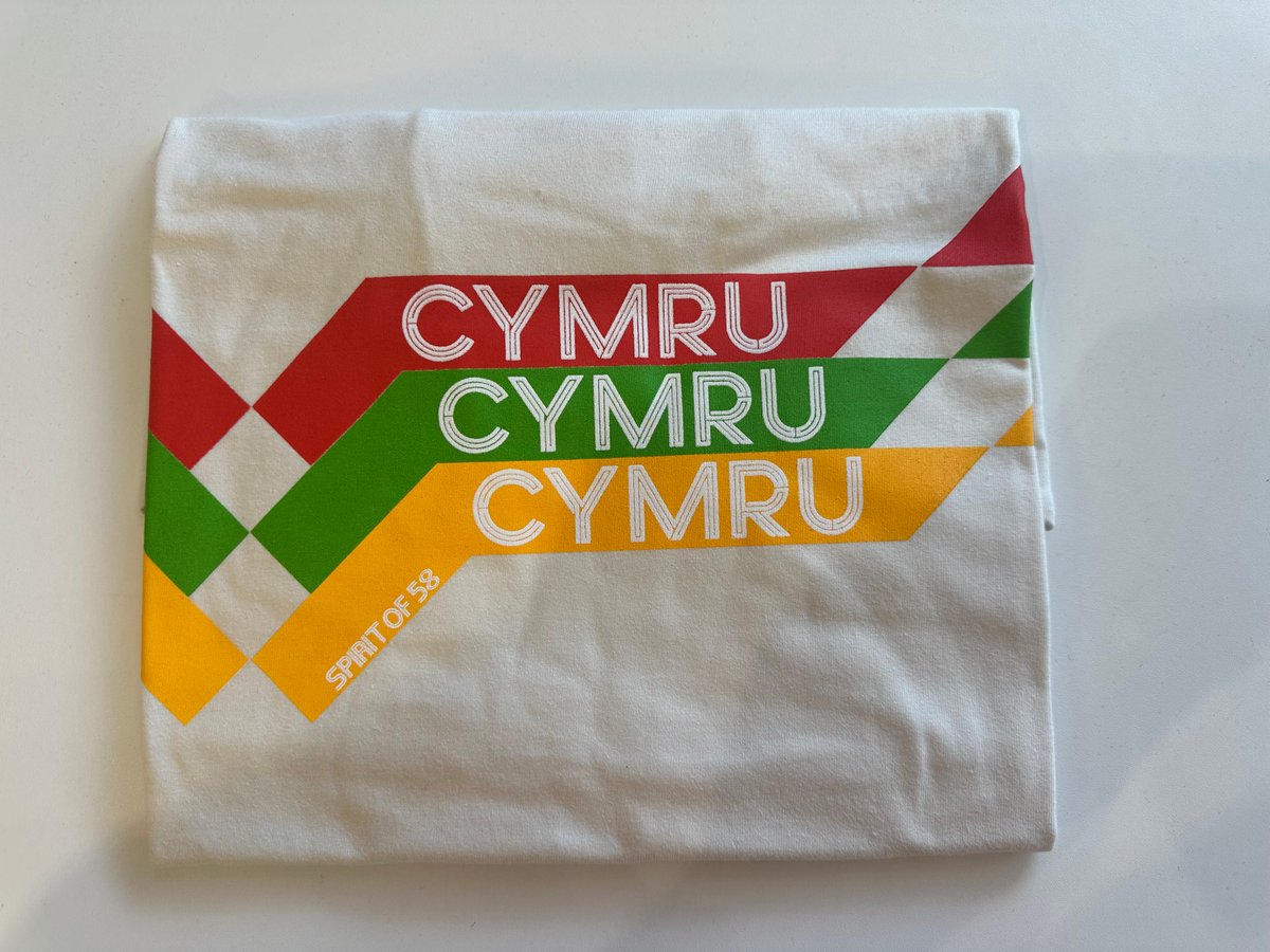 Image of CYMRU x Spirit of 58 T Shirt in Off White 