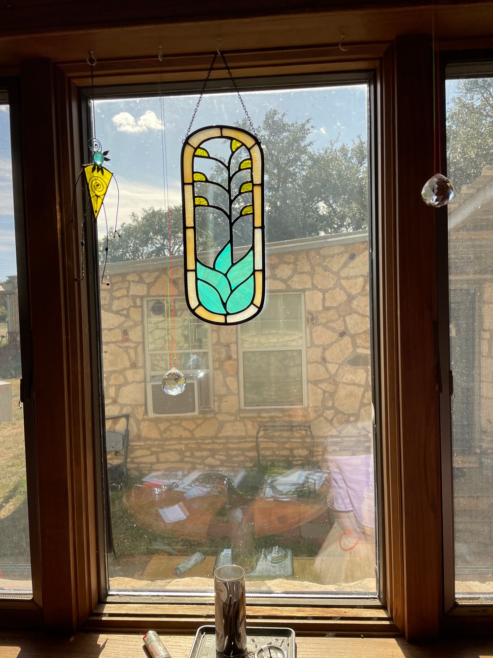 Image of Modern Century Plant
