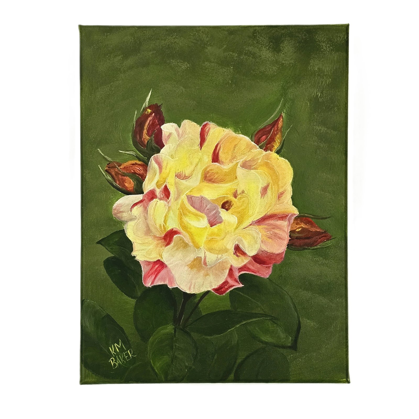 Rose - 12