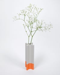 Fleurs 4 / one module