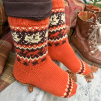 Image 4 of Patron chaussettes Fall Festival