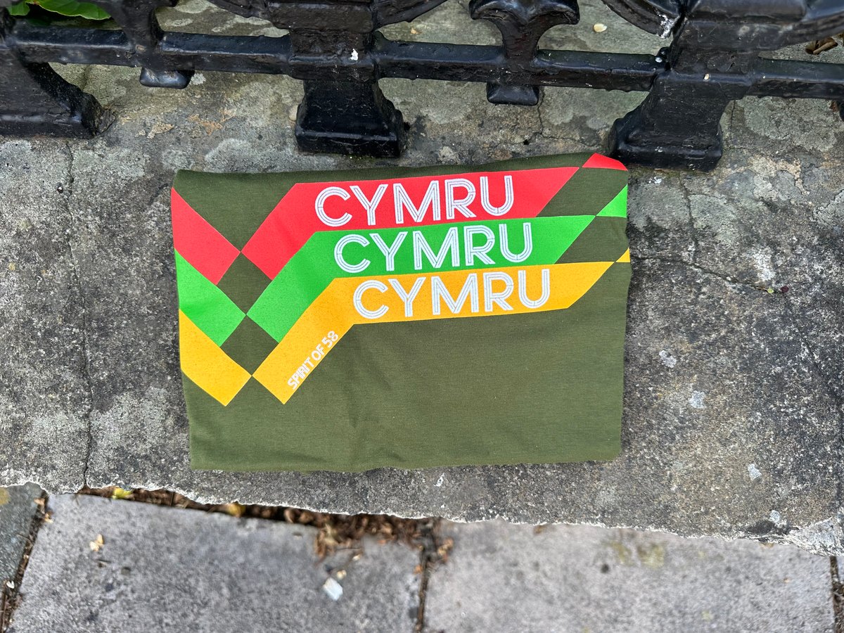 Image of Cymru x Spirit of 58 T Shirt in Dark Khaki 