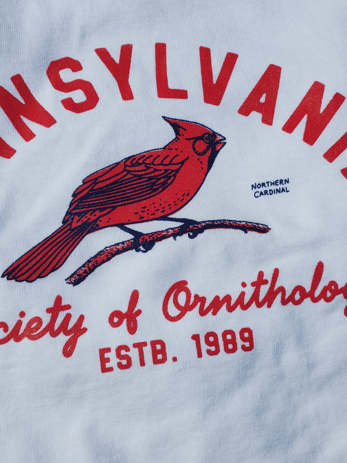 Image of Pennsylvania Society of Ornithology