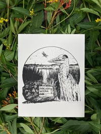 Everglades National Park Print