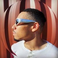 Haight Vision Shades Silver