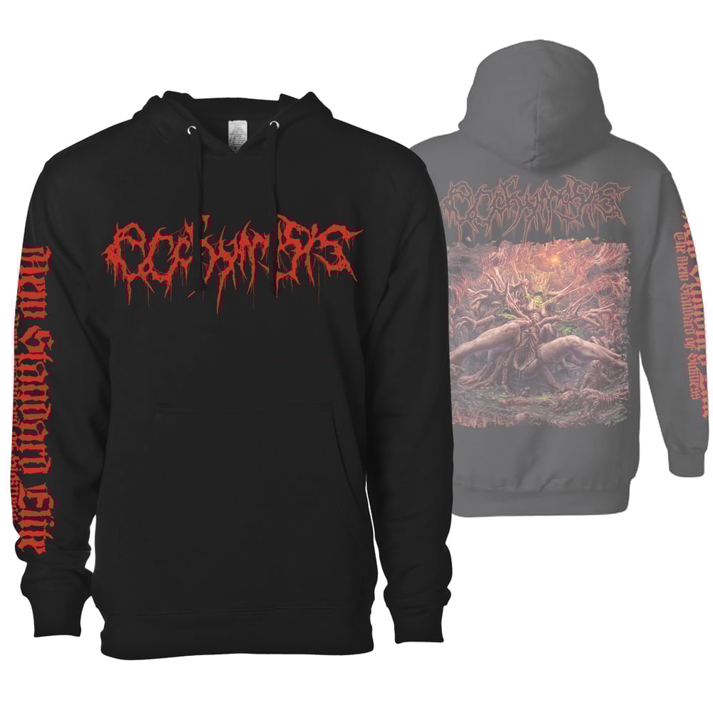 Image of ECCHYMOSIS "RITUALISTIC INTERCOURSE" HOODIE