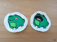 Frog Patches