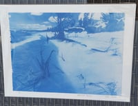 Image 3 of "Miller Beach" Cyanotype