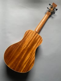 Image 5 of Concert Ukulele 