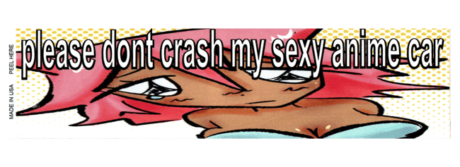 please dont crash into my sexy anime car bumper sticker