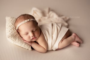 Image of Embroidered Velvet Headband