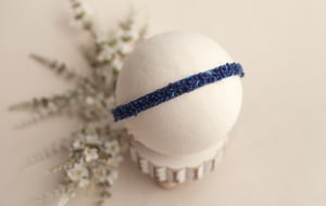 Image of Jade Sequin Headband - 5 colors