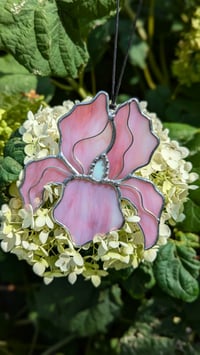 Image 1 of Iris - Iridescent Pink