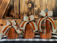 Image 1 of Halloween / Thanksgiving / Fall Pumpkin Set /Farmhouse- rustic