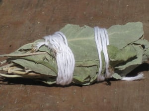 Image of wild crafted sage smudge sticks