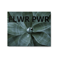 Image 1 of FLWR PWR Glossy Metal Print w/ Wood Frame