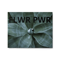 Image 6 of FLWR PWR Glossy Metal Print w/ Wood Frame