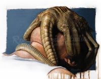 Face Hugger