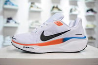 Nike Air Pegasus 41