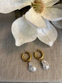 Image 1 of Stainless Steel Earrings Pearl Gold or Silver