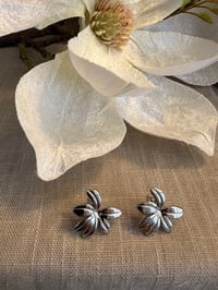 Image 1 of Stainless Steel Earrings Flower Shape Earrings Gold or Silver 