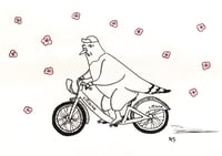 CitiBike Pigeon