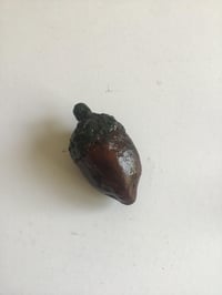 Image 4 of Acorn 