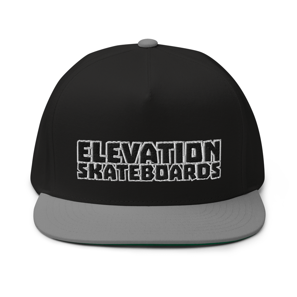 Team Logo embroidered snapback 