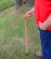 Image 1 of Wooden Cane Walking Stick made out of Exotic Wood of Bocote and Padauk with Oak, 37 inch Cane