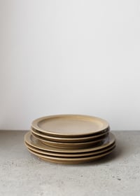 Image 3 of Buff rim plate